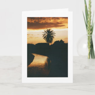 フェニックスの日没 カード