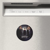 フェニックスの順序 – フランスの 1 マグネット (インサイチュ (食洗機))