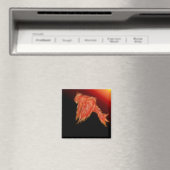 フェニックスファイアバード磁石 マグネット (インサイチュ (食洗機))