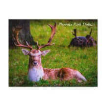 フェニックス公園の自然の威厳