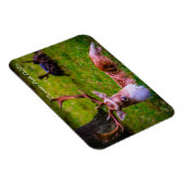 フェニックス公園の自然の威厳 マグネット (右側)