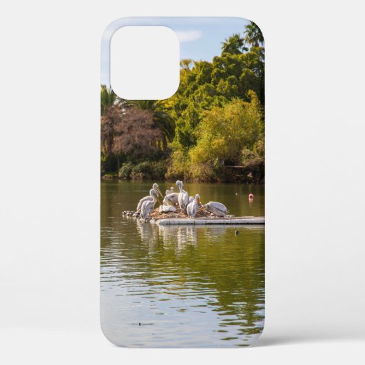 フェニックス動物園で湖のペリカン Case-Mate iPhoneケース (裏面)