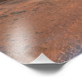 フェニックス火星ランダー2 フォトプリント            (角)