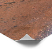 フェニックス火星ランダー2 ポスター (角)