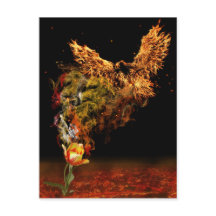 フェニックス花