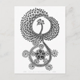 フェニックス10年 ポストカード