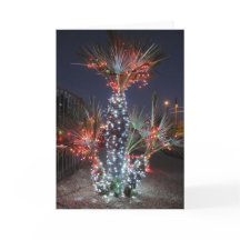 フェニックス、アリゾナのクリスマス