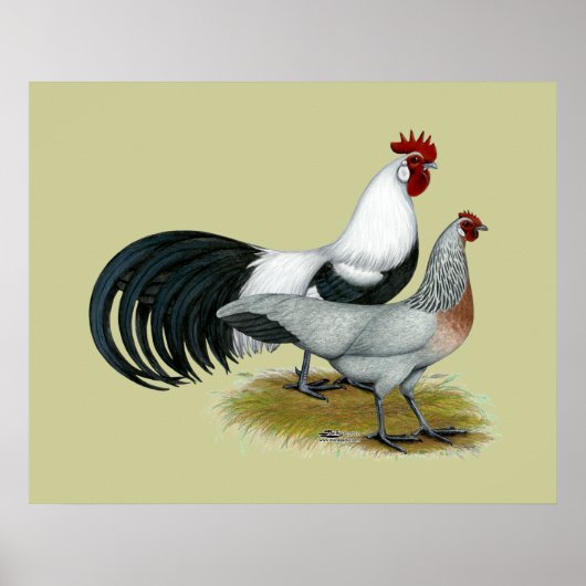 フェニックス:シルバー・ダックウィング・ペア ポスター (正面)