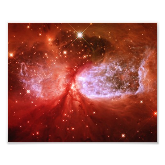 フェニックス フォトプリント            (正面)