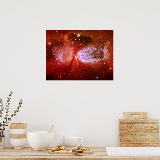 フェニックス ポスター (キッチン)