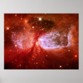 フェニックス ポスター (正面)