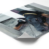 フェニックス ポスター (角)