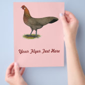 フェニックス： BBレッドヘン チラシ (手)