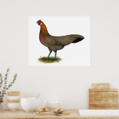 フェニックス： BBレッドヘン ポスター (キッチン)