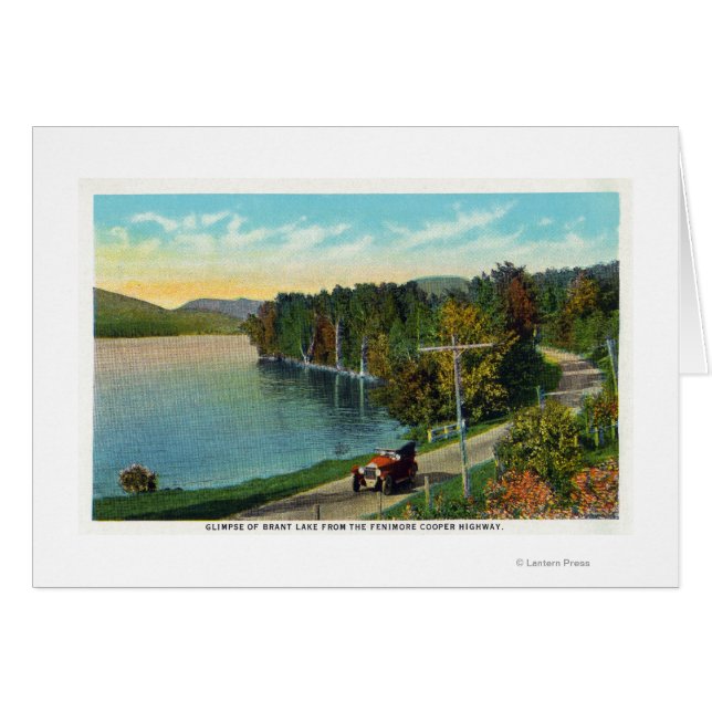 フェニモーレクーパーHwyからの湖の眺め (正面横)