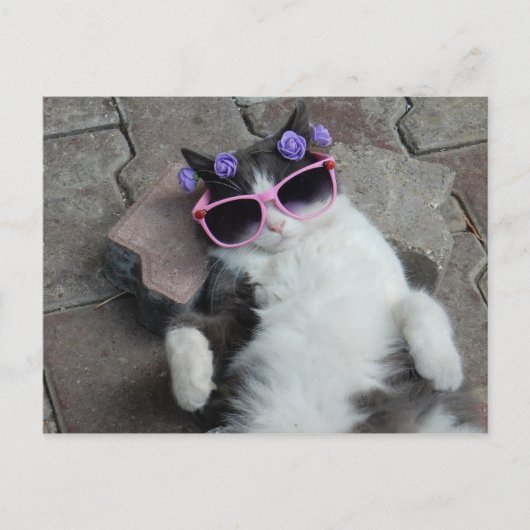 フェネディヴァ ポストカード (正面)