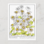 フェバーヌリーマテリアメディカハーブ勉強カード ポストカード (正面)