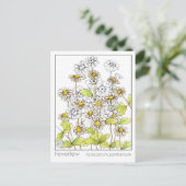 フェバーヌリーマテリアメディカハーブ勉強カード ポストカード (スタンド正面)