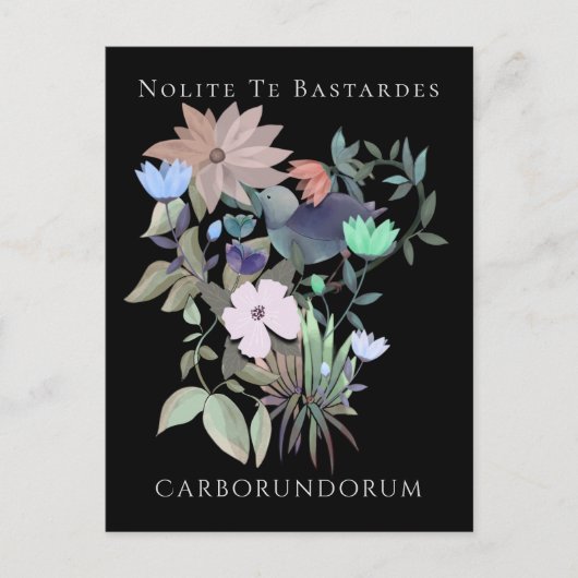 フェミニストアートノライト・テ・バスターデス・カルボルンドラム ポストカード (正面)