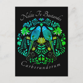 フェミニストアートノライト・テ・バスターデス・カルボルンドラム ポストカード