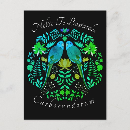 フェミニストアートノライト・テ・バスターデス・カルボルンドラム ポストカード (正面)