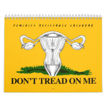 フェミニスト抵抗