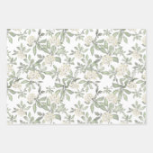 フェミニンピンクのバラの水彩花 ラッピングペーパーシート (正面2)