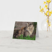 フェラルキャットポートレートノートカード カード (黄色い花)