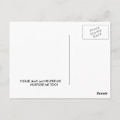 フェラルキャット育成はがき ポストカード (裏面)