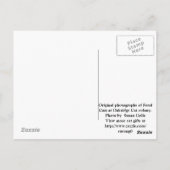 フェラルキャットTNRポストカード ポストカード (裏面)