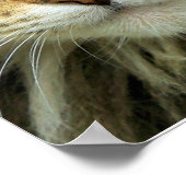 フェラルタブビーキャットグリーンアイズポートレートプリント ポスター (角)