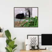 フェラル子猫のポスター ポスター (ホームオフィス)