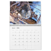 フェラル猫の写真カレンダー カレンダー (3月 2026)