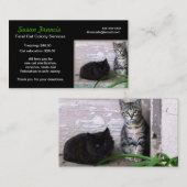 フェラル猫の原因名刺 名刺 (正面/裏面)