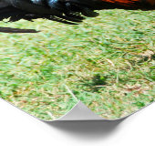 フェラル鶏の赤いジャングルフォールカウアイハワイ ポスター (角)