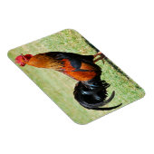 フェラル鶏の赤いジャングルフォールカウアイハワイ マグネット (右側)