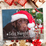 フェリいけなス犬おもしろいのパーソナライズされたペット写真 シーズンポストカード<br><div class="desc">フェリいけなズ犬！可愛いおもしろいの休日の挨拶をすごいこの可愛いパーソナライズされたペットの写真のホリカスタムーカードで送る。おもしろい写真デザインに可愛い前足のプリントを持つ犬からのメリークリスマスモダンの願い。犬の写真や家族の写真を犬と一緒に追加し、家族の名前、メッセージ、年でパーソナライズする。このペットのホリデーカードはカジュアルクリスマスカードに最適で、すべての愛犬家とペット好きお気に入りのの間の一つになる。COPYRIGHT © 2021 Judy Burrows,  Black Dog Art - All Rights Reserved.フェリズいけなドッグおもしろいパーソナライズされたペットホリデー葉書</div>