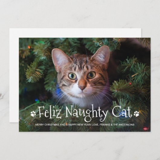 フェリいけなス猫おもしろいのパーソナライズされたペット写真 シーズンカード (正面/裏面)