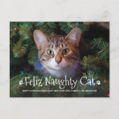 フェリいけなス猫おもしろいパーソナライズされたペット写真 シーズンポストカード (正面)