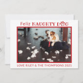 フェリいけなズ・ドッグ・レッド・ポーズ水平ペット写真ホ シーズンカード (正面)