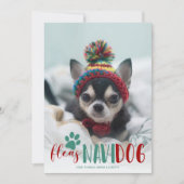 フェリおもしろいズ・ナビダッド犬の写真クリスマス シーズンカード (正面)