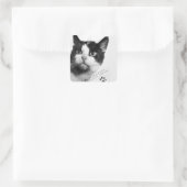 フェリエット宇宙で初めての猫 スクエアシール (バッグ)