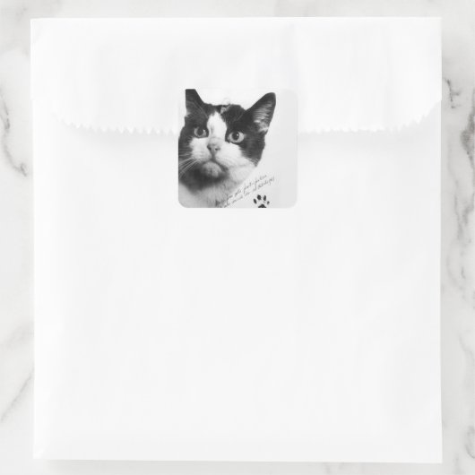 フェリエット宇宙で初めての猫 スクエアシール (バッグ)