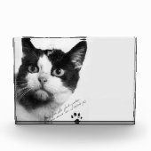 フェリエット宇宙で初めての猫 フォトブロック (正面)