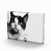 フェリエット宇宙で初めての猫 フォトブロック (右)