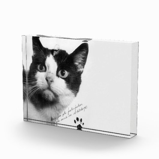 フェリエット宇宙で初めての猫 フォトブロック (右)