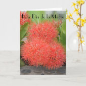 フェリスディアデラマドレ18 カード (黄色い花)