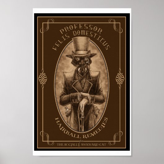 フェリス・ドメスティカス教授 ポスター (正面)