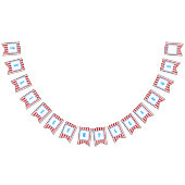 フェリズクンプレニョスバンデラサーコ バンティングフラッグ (全)