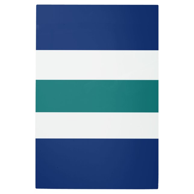 フェリズクンプレーニョスパラティ メタルプリント (正面)